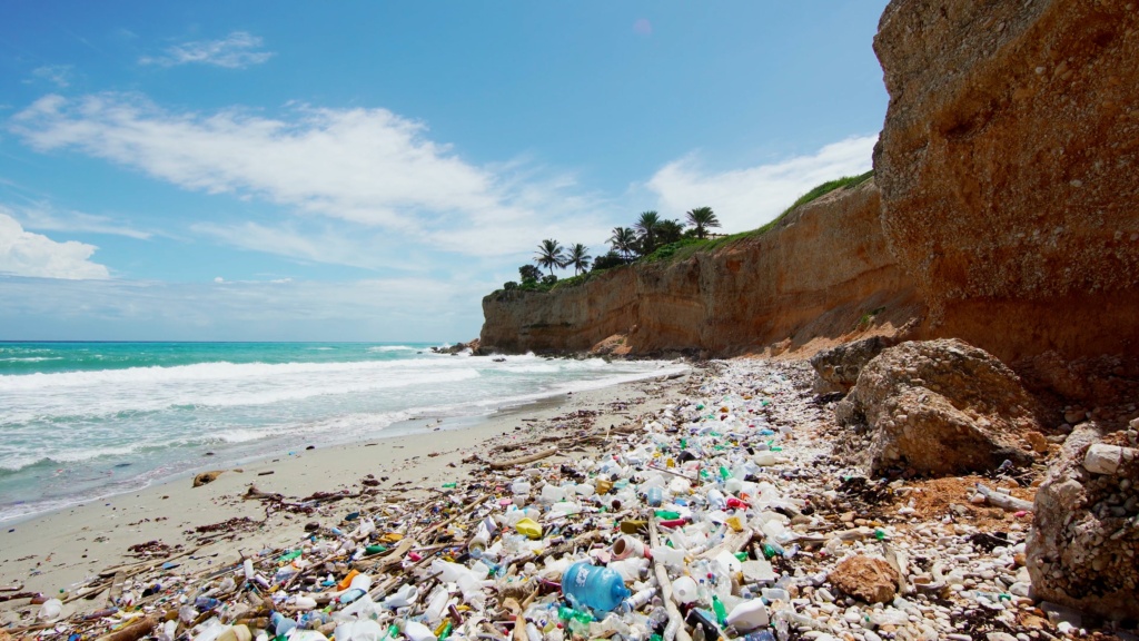 This pervasive pollution washing up on shores has reached alarming proportions